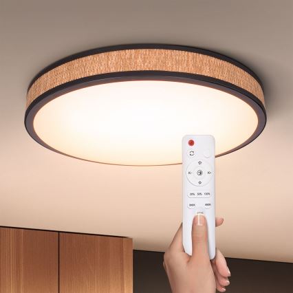 Brilagi - Lámpara de techo LED regulable ROSA LED/48W/230V 3000-6500K Ø 38 cm + mando a distancia