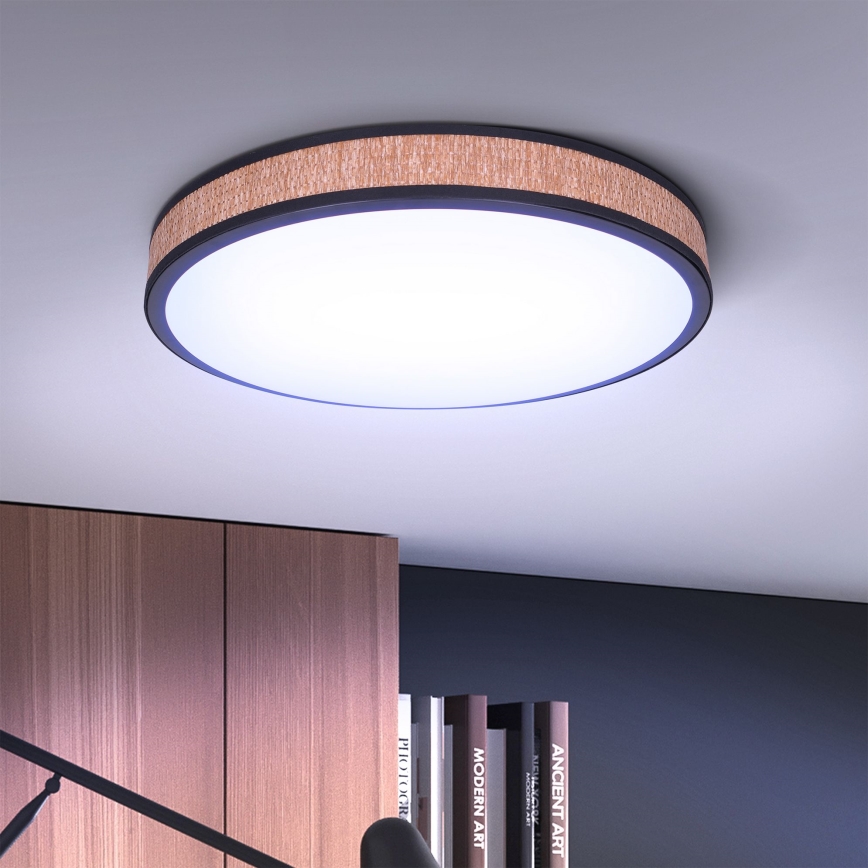 Brilagi - Lámpara de techo LED regulable ROSA LED/48W/230V 3000-6500K Ø 38 cm + mando a distancia
