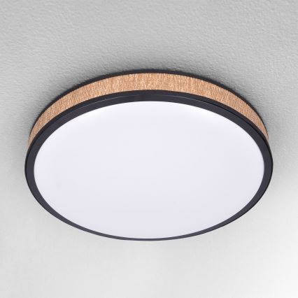 Brilagi - Lámpara de techo LED regulable ROSA LED/48W/230V 3000-6500K Ø 38 cm + mando a distancia