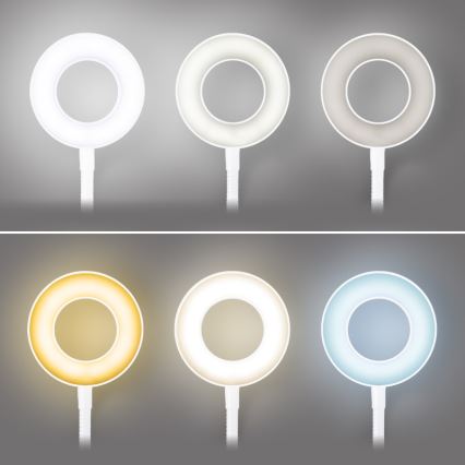Brilagi - Lámpara LED regulable con clip ORBELA LED/8W/230V 3000/4000/5000K blanco
