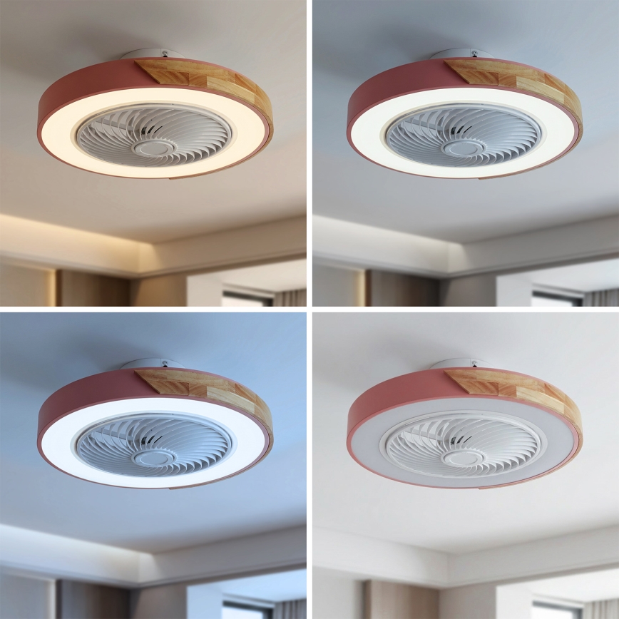 Brilagi - Lámpara de techo LED regulable con ventilador, 38 W, 230 V, 3000–6500 K, Ø 50 cm, rosa/roble + mando a distancia