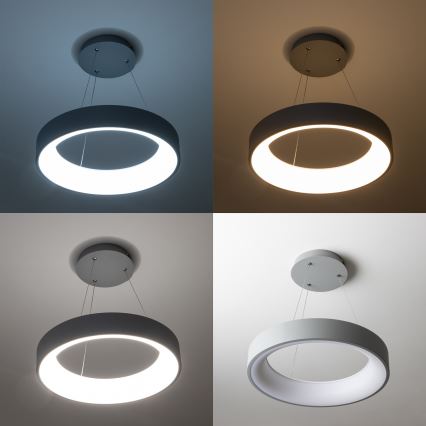 Brilagi - Lámpara colgante LED regulable en cable FALCON LED/80W/230V 3000-6500K Ø 60 cm gris + mando a distancia