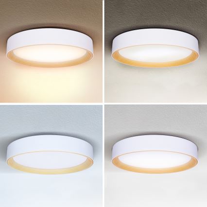Brilagi - Plafón LED regulable LARIOS LED/48W/230V 3000-6500K ø 39 cm blanco + control remoto