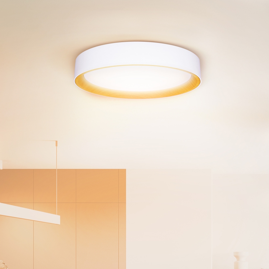 Brilagi - Plafón LED regulable LARIOS LED/48W/230V 3000-6500K ø 39 cm blanco + control remoto
