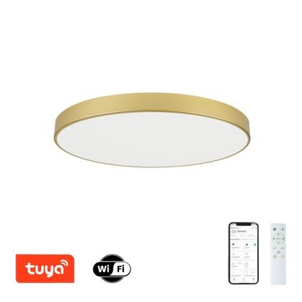 Brilagi - Luminaria de techo LED regulable POOL SMART LED/100W/230V 3000-6000K 80 cm dorado Wi-Fi Tuya + mando a distancia