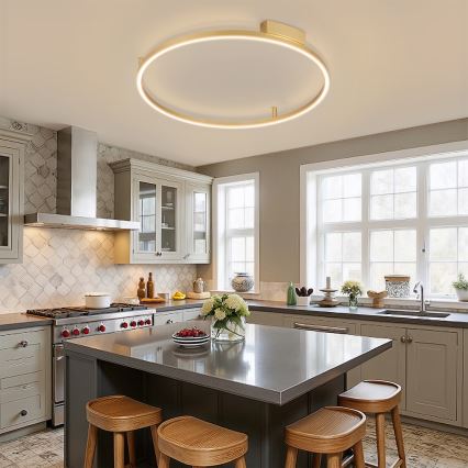 Brilagi - Lámpara de techo LED regulable PORTOFINO LED/60W/230V 3000-6000K Ø 80 cm dorada + mando a distancia