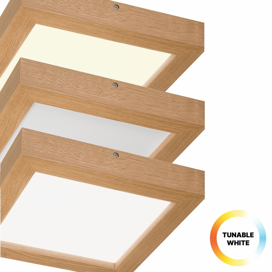 Brilagi - Luz de techo LED regulable para baño WOODY FRAME LED/24W/230V roble 30x30 cm 3000-6000K IP44 + control remoto