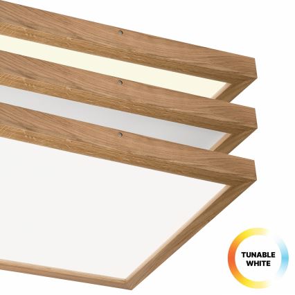 Brilagi - Luz de techo LED regulable para baño WOODY FRAME LED/50W/230V roble 60x60 cm 3000-6000K IP44 + control remoto