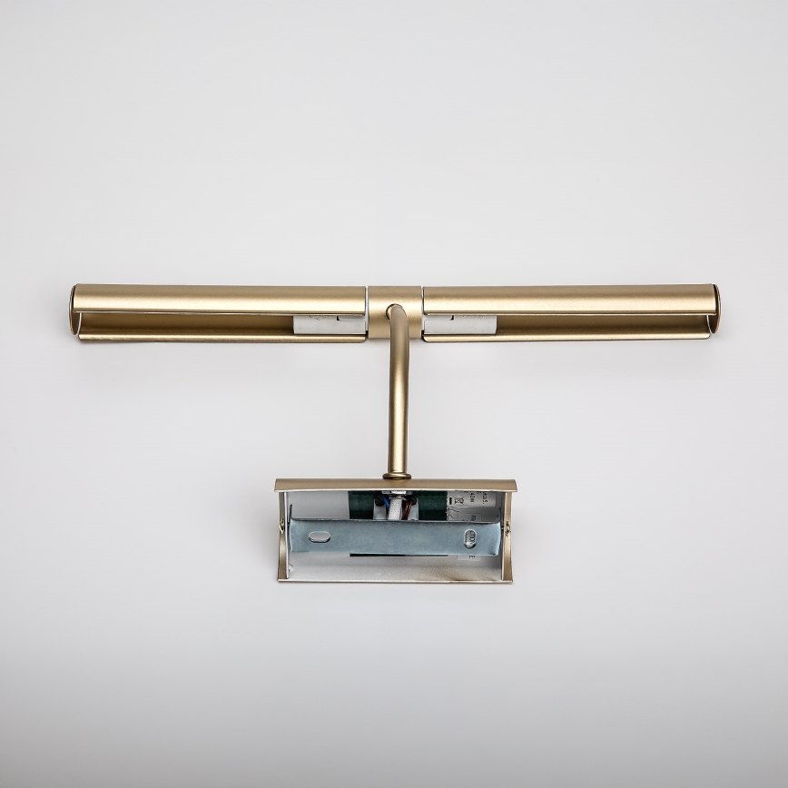 Brilagi - Lámpara para cuadros DANAE 2xE14/40W/230V dorada