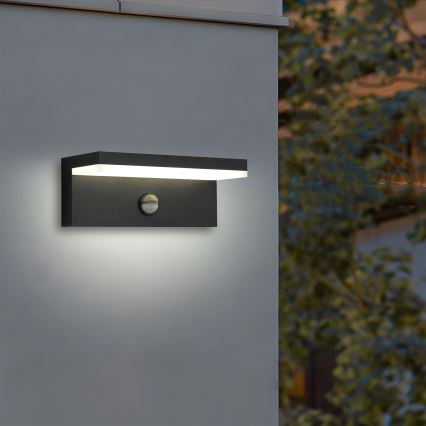 Brilagi - Aplique de pared LED para exterior con sensor TESSI LED/10W/230V negro IP54