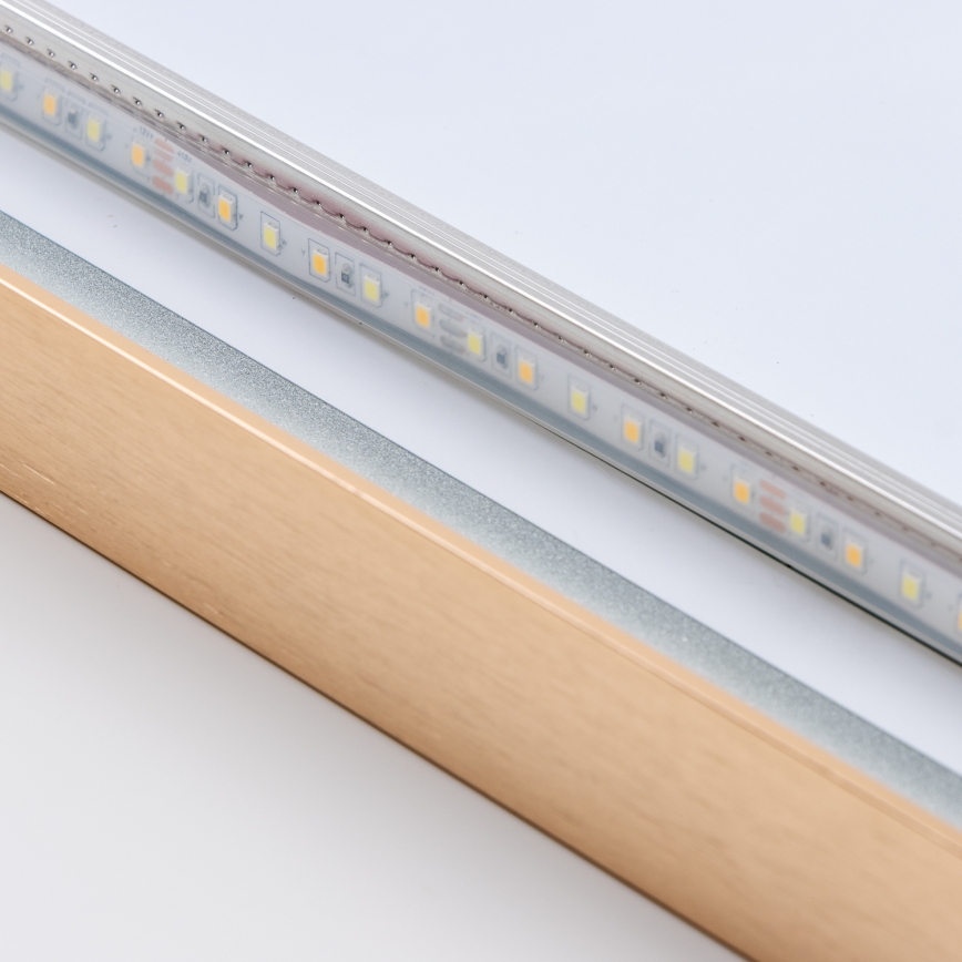 Brilagi - Espejo de baño LED ERBA LED/25W/230V 50x80 cm dorado IP44 IRC 90 regulable + CCT