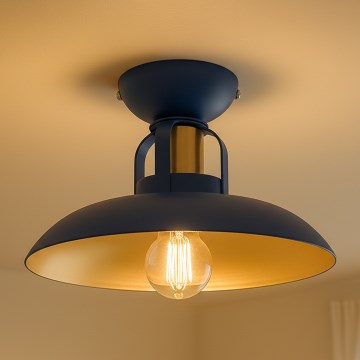 Brilagi - LED Lámpara de techo FLAMENGO 1xE27/60W/230V azul