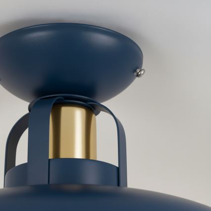 Brilagi - LED Lámpara de techo FLAMENGO 1xE27/60W/230V azul