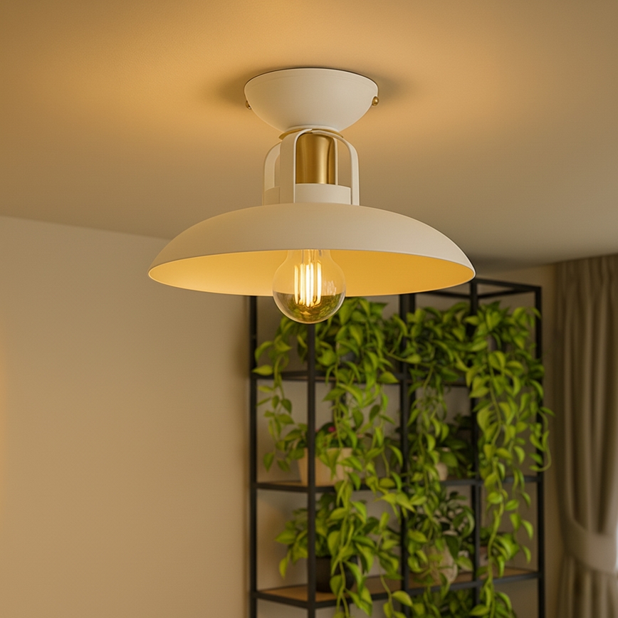 Brilagi - LED Lámpara de techo FLAMENGO 1xE27/60W/230V blanco