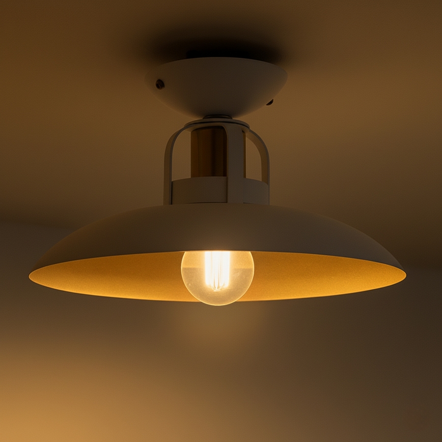 Brilagi - LED Lámpara de techo FLAMENGO 1xE27/60W/230V blanco