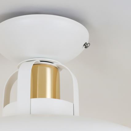 Brilagi - LED Lámpara de techo FLAMENGO 1xE27/60W/230V blanco