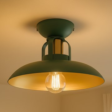 Brilagi - LED Lámpara de techo FLAMENGO 1xE27/60W/230V verde