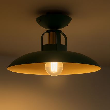 Brilagi - LED Lámpara de techo FLAMENGO 1xE27/60W/230V verde