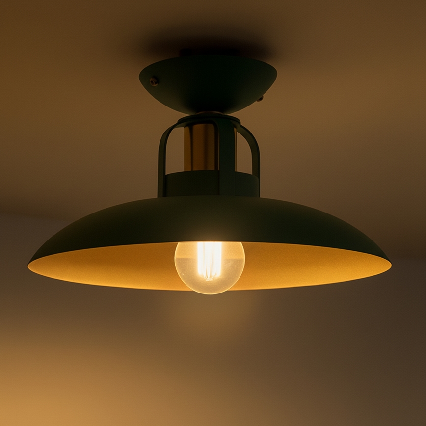 Brilagi - LED Lámpara de techo FLAMENGO 1xE27/60W/230V verde