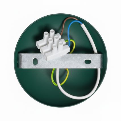 Brilagi - LED Lámpara de techo FLAMENGO 1xE27/60W/230V verde