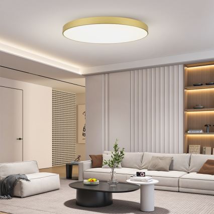 Brilagi - Plafón LED POOL LED/180W/230V 3000/4500/6000K diámetro 120 cm dorado