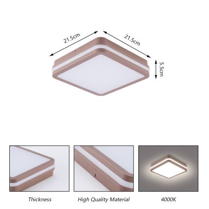 Brilagi - Lámpara de techo LED para exterior con sensor BENE LED/18W/230V 21,5x21,5 cm marrón IP54