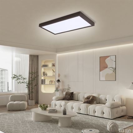 Brilagi - LED Lámpara de techo regulable para baño FRAME SMART LED/30W/230V 30x60 cm 3000-6000K negra + mando a distancia