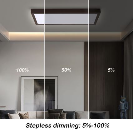 Brilagi - LED Lámpara de techo regulable para baño FRAME SMART LED/30W/230V 30x60 cm 3000-6000K negra + mando a distancia