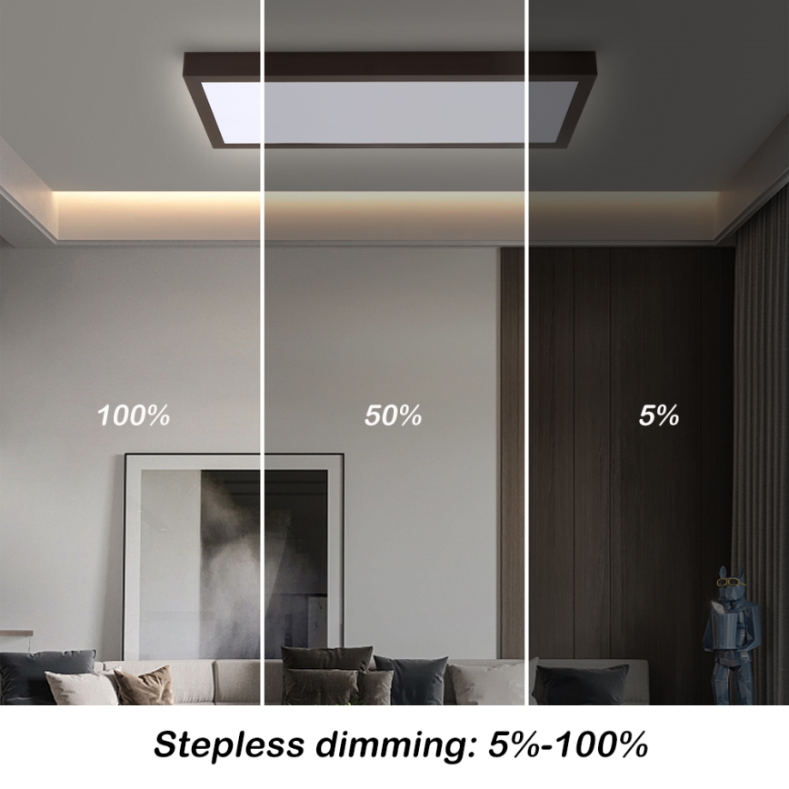 Brilagi - LED Lámpara de techo regulable para baño FRAME SMART LED/30W/230V 30x60 cm 3000-6000K negra + mando a distancia