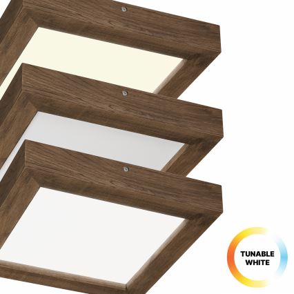 Brilagi - Lámpara de techo LED regulable para baño WOODY FRAME LED/24W/230V roble nogal 30x30 cm 3000-6000K IP44 + mando a distancia