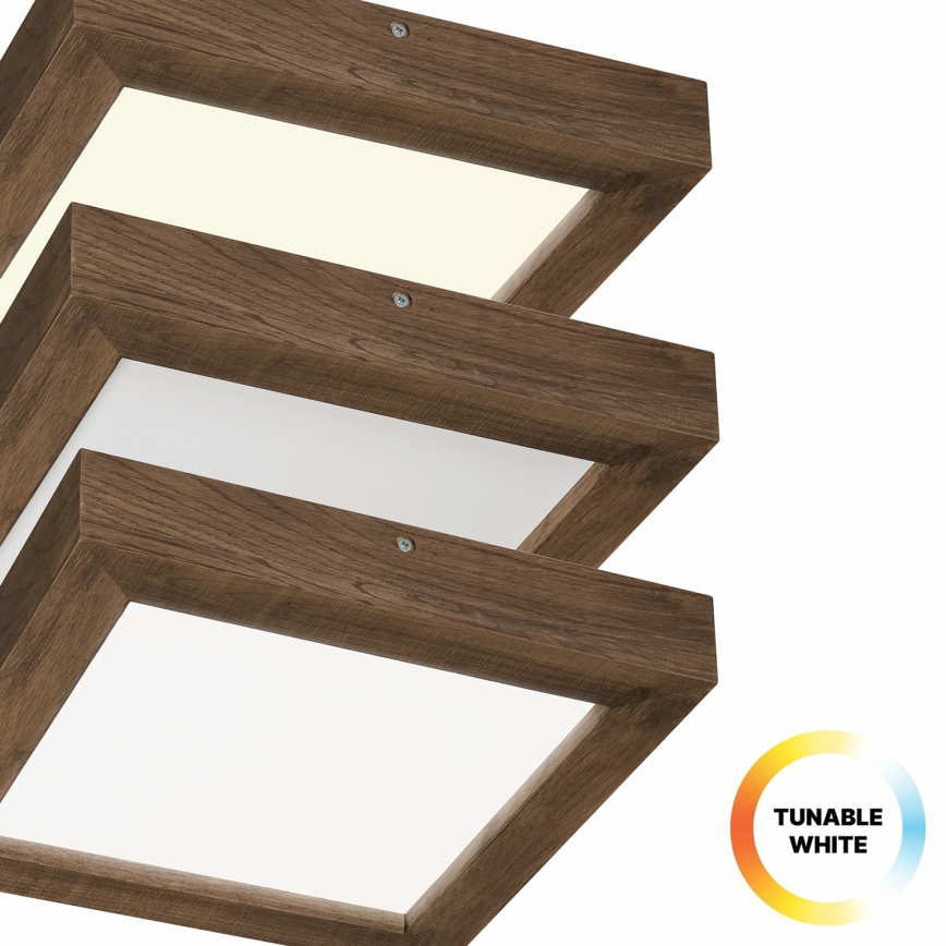 Brilagi - Lámpara de techo LED regulable para baño WOODY FRAME LED/24W/230V roble nogal 30x30 cm 3000-6000K IP44 + mando a distancia