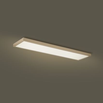 Brilagi - Plafón LED regulable para baño FRAME SMART LED/50W/230V 120x30 cm 3000-6000K IP44 beige + mando a distancia