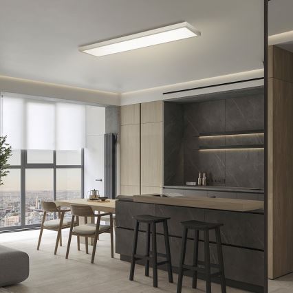 Brilagi - Lámpara LED regulable para techo de baño FRAME SMART LED/50W/230V 120x30 cm 3000-6000K IP44 plateada + mando a distancia