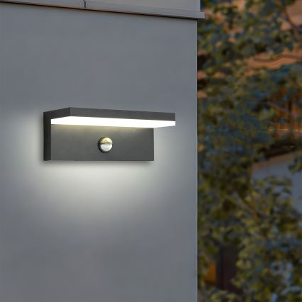 Brilagi - Aplique LED de pared para exterior con sensor TESSI LED/10W/230V antracita IP54