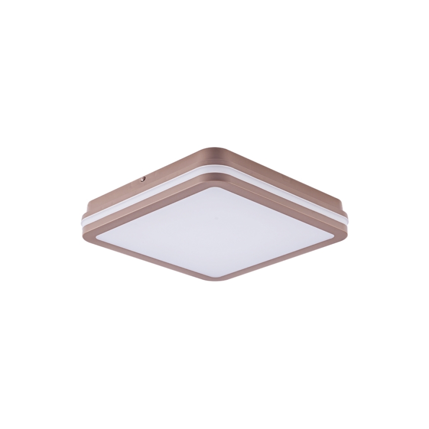 Brilagi - Plafón LED para exterior con sensor BENE LED/24W/230V 26x26 cm marrón IP54