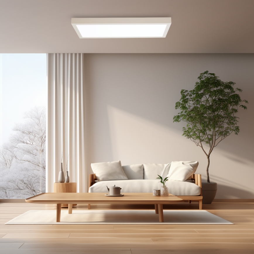 Brilagi - LED Luz de techo regulable para baño FRAME SMART LED/30W/230V 30x60 cm 3000-6000K IP44 blanca + mando a distancia