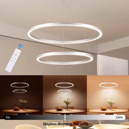 Brilagi - Lámpara colgante LED regulable suspendida por cable PORTOFINO LED/98W/230V 3000-6000K diámetro 80 cm plata + mando a distancia