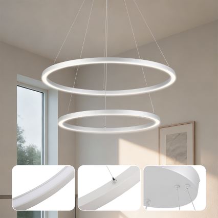 Brilagi - Lámpara colgante LED regulable suspendida por cable PORTOFINO LED/98W/230V 3000-6000K diámetro 80 cm plata + mando a distancia