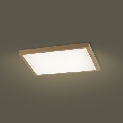Brilagi - Plafón LED regulable para baño FRAME SMART LED/50W/230V 60x60 cm 3000-6000K IP44 beige + mando a distancia