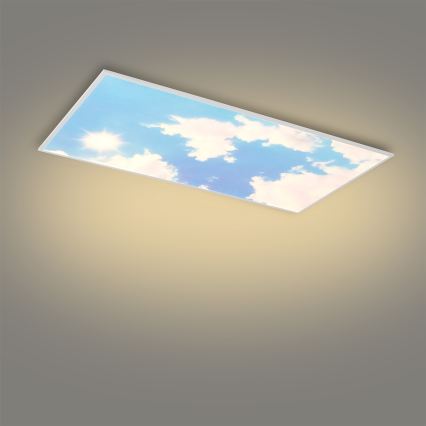 Brilagi - Luminaria de techo LED regulable SLIMFRAME LED/80W/230V 120 x 60 cm 3000–6000 K plateado/azul + mando a distancia