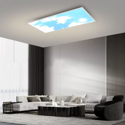 Brilagi - Luminaria de techo LED regulable SLIMFRAME LED/80W/230V 120 x 60 cm 3000–6000 K plateado/azul + mando a distancia