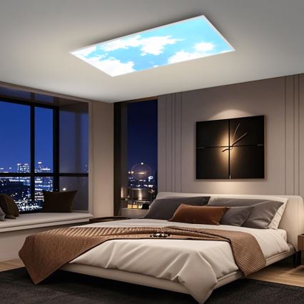 Brilagi - Luminaria de techo LED regulable SLIMFRAME LED/80W/230V 120 x 60 cm 3000–6000 K plateado/azul + mando a distancia