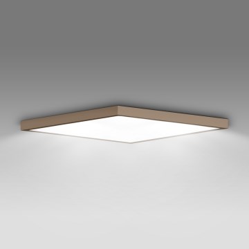 Brilagi - Luminaria de techo LED para baño FRAME 50W/230V 60x60 cm IP44 beige