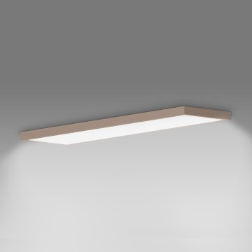 Brilagi - Luminaria de techo LED para baño FRAME LED/50W/230V 120x30 cm IP44 beige