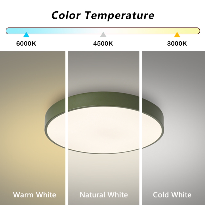 Brilagi - Plafón LED de techo POOL LED/60W/230V 3000/4000/6000K Ø 50 cm verde