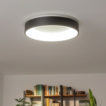 Brilagi - Luminaria de techo LED regulable FALCON LED/80W/230V 3000-6500K diámetro 60 cm negra + mando a distancia