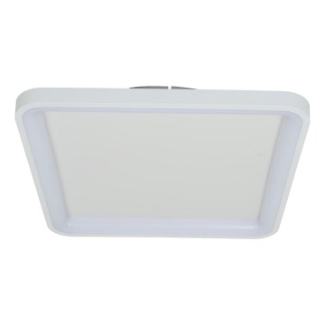 Brilagi - Luminaria de techo LED regulable FALCON SLIM LED/50W/230V 3000-6500K 50x50 cm blanco + mando a distancia