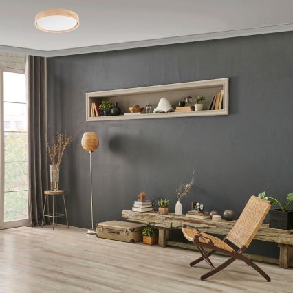 Brilagi - Lámpara de techo LED regulable MANAROLA LED/24W/230V diámetro 42 cm 3000-6500K + mando a distancia