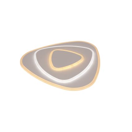 Brilagi - Lámpara de techo LED regulable MODERN LED/58W/230V 3000-6000K 47x48,5 cm+ control remoto