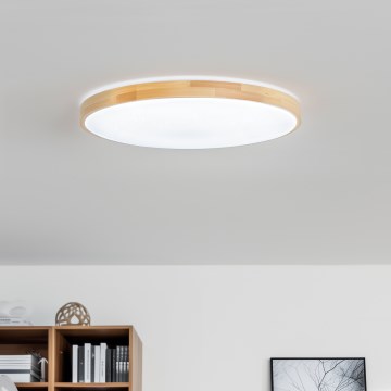 Brilagi - Luminaria de techo LED regulable PINE LED/60W/230V diámetro 52 cm 3000-6500K + mando a distancia